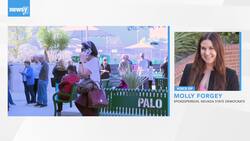 Nevada's New Plan For Caucusing Poses Potential Security Threats News Clip