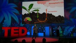 Asmeret Asefaw Berhe: A climate change solution that's right under our feet Instructional Video