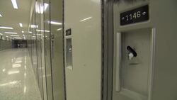 Alberta pediatricians call for delay in lifting of restrictions News Clip