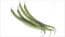 Learning Vegetables for Kids | Kids Learning Video Instructional Video