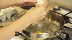 How to Feed Your Dog Human Food Instructional Video