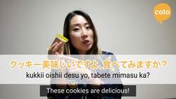 JLPT N4 Grammar: 〜てみる (How to say "try doing~" in Japanese) Instructional Video