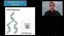 LS3A Inheritance of Traits Instructional Video