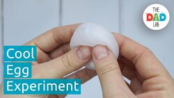 Science Experiment: Empty Eggshells in Vinegar Instructional Video