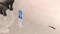 Bats are resistant to coronavirus-related inflammation: experts Instructional Video