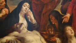 Moscow museum gathers all Russia's Jordaens works Instructional Video