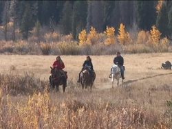 Introduction to Environmental Problems and Solutions Instructional Video