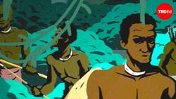 TED-Ed: The kingdom hidden in Brazil | Marc Adam Hertzman and Flavio dos Santos Gomes Instructional Video