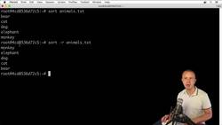 The Complete Practical Docker Guide - Sorting Contents of the Files Using Sort Utility Instructional Video