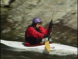 Ragos y herencia: rasgos adquiridos y rasgos heredados Instructional Video