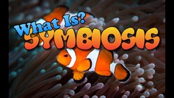 What is Symbiosis? Instructional Video