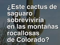 Adaptaciones: ¿qué es la adaptación? Instructional Video