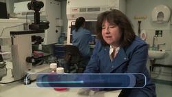 Revolutionary Procedure: Growing Blood in a Lab Instructional Video