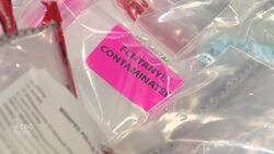 Canada needs to tackle money laundering problem, experts say News Clip