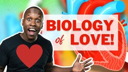 The Biology of Love - How Love Actually Works Instructional Video