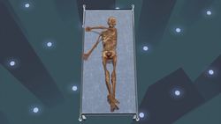 Scientists discover ancient iceman's final meal Instructional Video