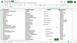 Google Sheets Fundamentals - Filtering Data Instructional Video