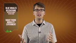 Blue Whales and The Smartphone Morality Experiment Instructional Video