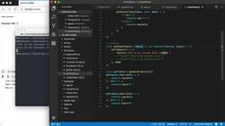 The Modern JavaScript Bootcamp (2019) - Promise Chaining Instructional Video