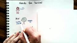 Needs For Survival Instructional Video