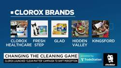 Clean as a Baby's Bottom: Clorox's Redefined Marketing Approach News Clip