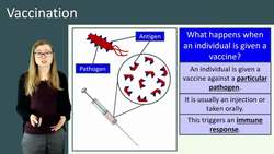 Understanding Vaccination: How Memory Cells Respond to Invasion by Pathogens Instructional Video