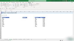 Microsoft Excel 2021365 - Beginner to Advanced - Check Box - Check/Uncheck Option Instructional Video