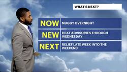 HEAT ALERT: Hazy, hot and humid with highs near 94 for Brooklyn News Clip