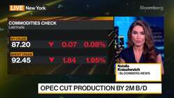 OPEC Trims Oil Demand Outlook, Cuts Production by 2M B/D News Clip