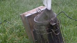 CLEAN : Protesters rally in Paris against reintroduction of neonicotinoids News Clip