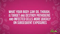 COVID-19 Reinfections Are a Thing: Here’s What We Know So Far | SciShow News Instructional Video