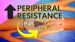 Regulating Peripheral Resistance - Part 1 Instructional Video