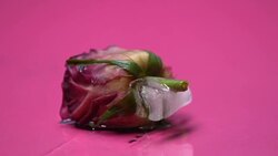 Rose freezing in ice cube, betrayed heart closing and loses trust, macro shot Stock Footage