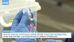 White House Officials Say Vaccination Rates Are Up News Clip