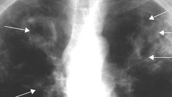 The True Story Behind The Jungle Book Instructional Video