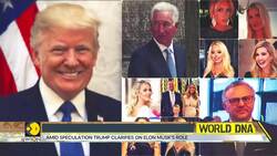 Decoding: Donald Trump's Friends, Family And Politics News Clip