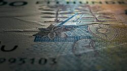 100 Swedish Kroner 2003 Front Close Up Macro Stock Footage