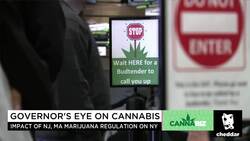 New York State Sen.: Legalizing Weed Is "the Right Thing to Do" News Clip