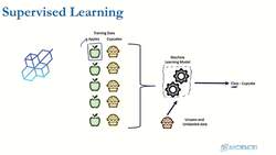 Data Science and Machine Learning (Theory and Projects) A to Z - Introduction to Machine Learning: Supervised Learning Instructional Video