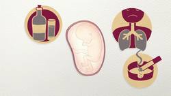 ¿Cuándo inicia la vida de un ser humano? - CuriosaMente 230 Instructional Video