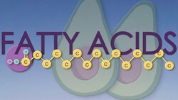 Fatty acids Instructional Video