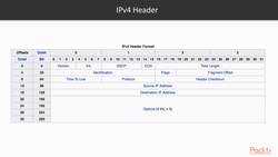 Describe network protocols : Review of Key Networking Concepts Instructional Video