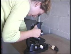 The Cell: Seeing the Invisible Instructional Video