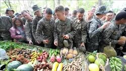 VOICED : Militares toman sangre de cobra News Clip