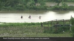 Fears of price increases as India bans export of non-basmati rice News Clip