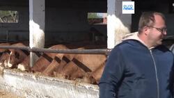 Concern over the spread of foot-and-mouth disease grows amongst Croatian farmers News Clip