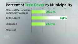 Montreal area to get 300,000 new trees in push to grow canopy News Clip