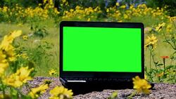 Green Screen Laptop Computer Outside. Stock Footage