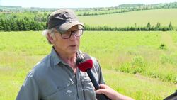 Trees out, wildflowers in: Why a P.E.I. couple is turning over land to birds, butterflies and bees News Clip