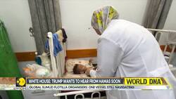 Israel-Hamas Conflict: France Issues New Warning To Hamas, Urges To 'Surrender' News Clip